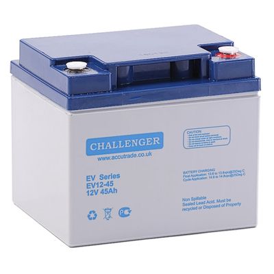 Тяговая аккумуляторная батарея Challenger EVG-12-45 Gel, 12V 45Ah, под клему F10(M8), ( 198 х 168 х 171 ), Q1 EVG12-45 фото