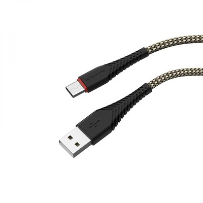 USB Borofone BX25 Powerful Type-C ЦУ-00024989 фото
