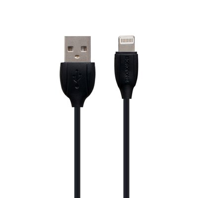 USB Borofone BX19 Benefit Lightning ЦУ-00024990 фото