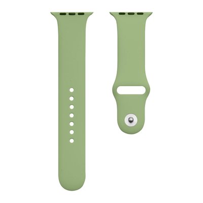 Ремінець для Apple Watch Band Silicone One-Piece Size-S 38/40/41 mm 00000018512 фото