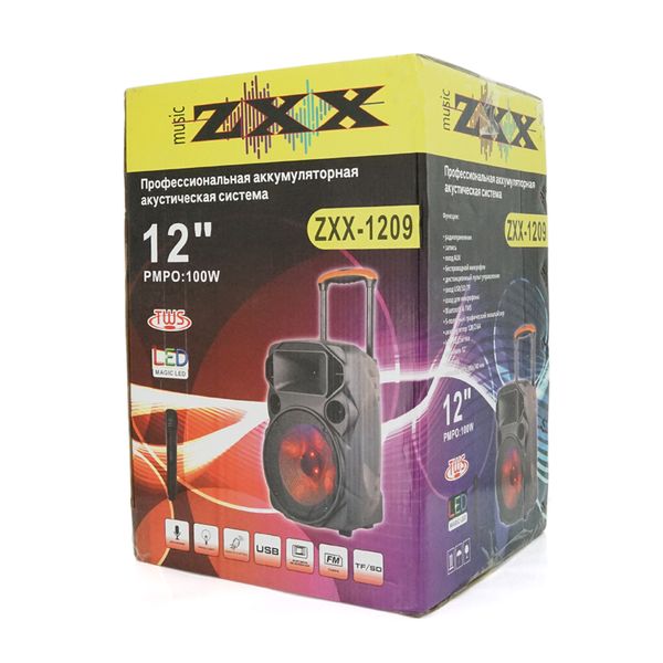 Потужна акустична система з підсвічуванням ZXX-1209, 30W, Bluetooth мікрофон, вбудований акум 2600mAh, живлення 220В, Black, Box ZXX-1209 фото
