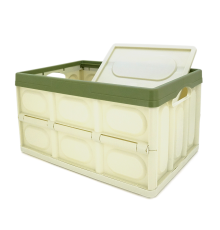 Органайзер пластиковий з кришкою у багажник автомобіля, 500x350х290mm, Green
