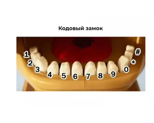 Копилка для денег "Собака" Sebar, 14х18 см, 1 шт Копилка для денег "Собака" Sebar, 14х18 см, 1 шт