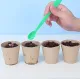 Набор для опытов домашняя теплица Home made plant Игровой набор теплица для выращивания растений с семенами