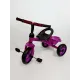 Велосипед дитячий триколісний Rapid від ТМ Tilly T-315