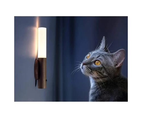 Лампа, світильник LED з датчиком руху та вбудованим акумулятором на 500Mah Induction lamp Лампа, світильник LED з датчиком руху та вбудованим акумулятором на 500Mah Induction lamp