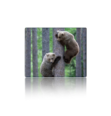 Килимок 250*300 тканинний Two Bears, з боковою прошивкою, товщина 2 мм