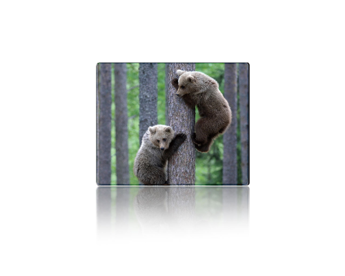 Килимок 250*300 тканинний Two Bears, з боковою прошивкою, товщина 2 мм
