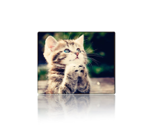 Килимок 250*300 тканинний CAT3, з боковою прошивкою, товщина 2 мм Килимок 250*300 тканинний CAT3, з боковою прошивкою, товщина 2 мм