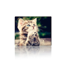 Килимок 250*300 тканинний CAT3, з боковою прошивкою, товщина 2 мм