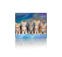 Килимок 250*300 тканинний Five Cats, з боковою прошивкою, товщина 2 мм