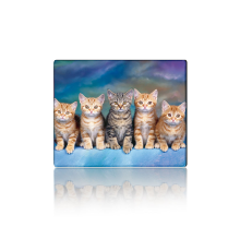 Килимок 250*300 тканинний Five Cats, з боковою прошивкою, товщина 2 мм