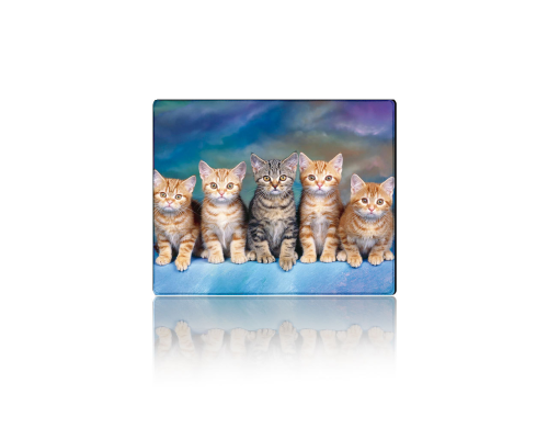 Килимок 250*300 тканинний Five Cats, з боковою прошивкою, товщина 2 мм