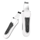 Ультразвуковий скрабер для обличчя Ultrasonic Facial Beauty Device