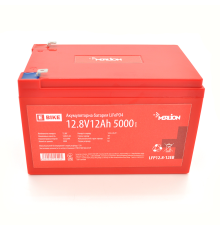 Літій-залізо-фосфатний акумулятор Merlion LiFePO4 12.8V 12AH(4S2P/BMS-15A), (151x99x99) для електротранспорту, 5000 циклів, Q12