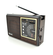 Радіоприймач GOLON RX9933UAR, 6W, AM/FM радіо, Вхід microSD, USB, живлення від 220+АКБ+4*LR20, корпус пластмас, Black/Brown, BOX