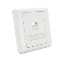 Рамка 86х86 під 1 модуль Keystone Jack RJ-45 кат.5E UTP, 1-port Q100