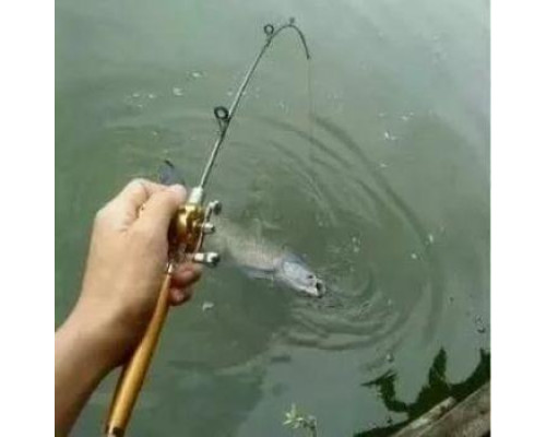 Удочка складная с катушкой и леской, телескопическая, Fishing rod in pen case, блесной, удочка ручка Удочка складная с катушкой и леской, телескопическая, Fishing rod in pen case, блесной, удочка ручка