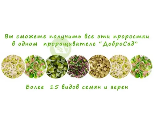 Автоматический проращиватель семян ДоброСад (с таймером)