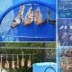 Сітка для сушіння риби, овочів і фруктів (50х50х100 см), 5 ярусів