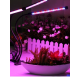 Ультрафиолетовая лампа для растений j22wl-03 LED LIGHT Полный спектр 3 головы LED