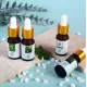 Масло ароматизаторное для увлажнителей 10 ml.