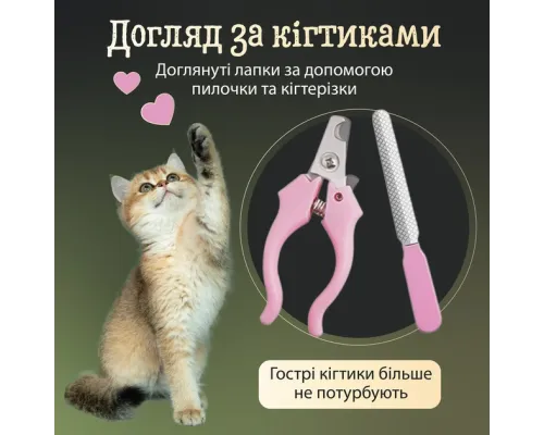 Машинка для стриження тварин бездротова з набором аксесуарів Pet grooming hair clipper kit Машинка для стриження тварин бездротова з набором аксесуарів Pet grooming hair clipper kit