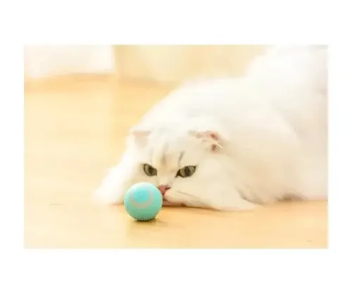 Іграшка для кішок Stress Cat/ Кулька із силовою гравітацією, який сам катається для котів і кошенят LY-599