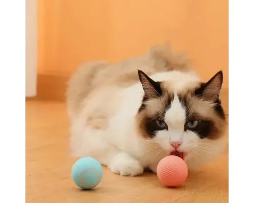 Іграшка для кішок Stress Cat/ Кулька із силовою гравітацією, який сам катається для котів і кошенят LY-599