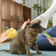 Щітка масажна для догляду за шерстю тварин 4 в 1 ПАРОВА Pet comb