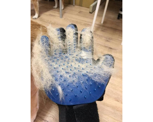 Рукавичка для вичісування шерсті True Touch, Тру Тач, Pet Glove