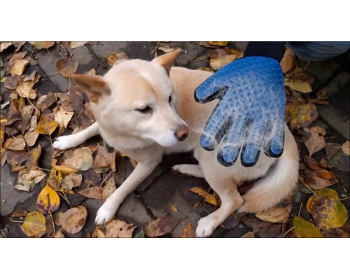 Рукавичка для вичісування шерсті True Touch, Тру Тач, Pet Glove