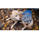 Рукавичка для вичісування шерсті True Touch, Тру Тач, Pet Glove