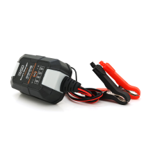 Автомобільне ЗУ BYGD, 6/12V, 220-240V, 1,5A, LED-індикація, клемми (AGM/GEL/Lead)