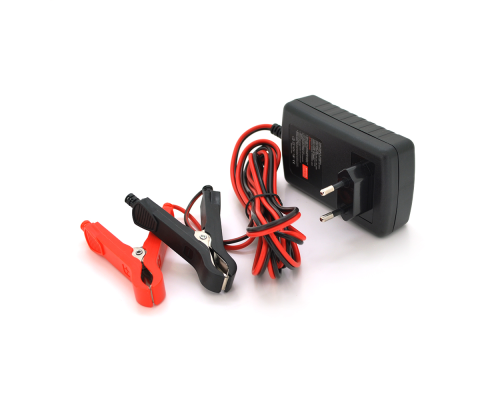 Автоматичне ЗУ для акумулятора RJTianye 6V/12V,100-240V,2A,клеми(AGM/GEL,Lead)