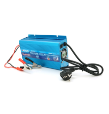 Зарядний пристрій RAGGIE RG-CA1250A для акумулятора 12V-50A, крокодили, Q12