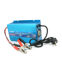 Зарядний пристрій RAGGIE RG-CA1240A для акумулятора 12V-40A, крокодили, Q12