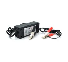 Зарядний пристрій Merlion для акумуляторів LiFePO4 12V(14,6V),4S,5A-60W + крокодили,BOX